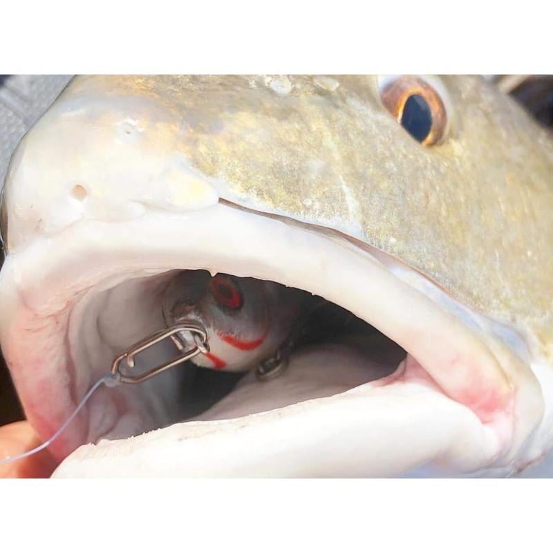 Topwater Co Speed Clips