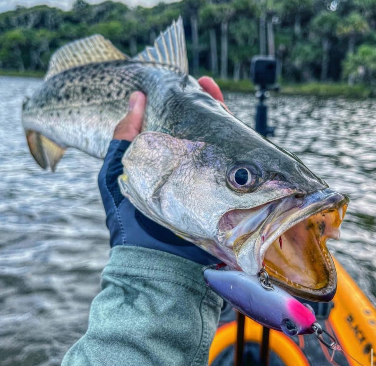 Topwater Co Speed Clips