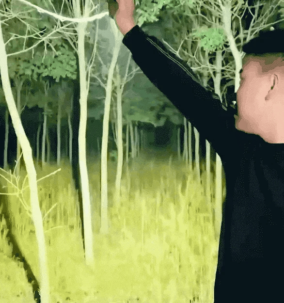 ❄️Winter Discount Frenzy Promotion-49% OFF-🔦Mini Keychain LED Flashlight - Fast Charging Bi-Directional Output Work Light with Emergency SOS